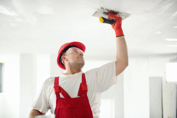 Best Trim and Molding Painting  in Lawai, HI